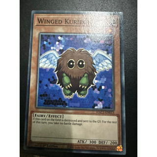 Bài yugioh: winged kuriboh