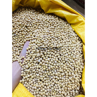 Đỗ tương, đậu nành sống Gói 500-1kg