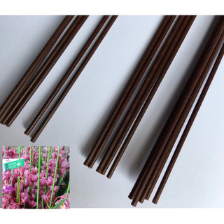 10kg que sắt bọc nhựa trông lan cây cảnh ti sắt bọc nhựa siêu bền 80cm ty sắt cố định thân lan điệp cây cảnh