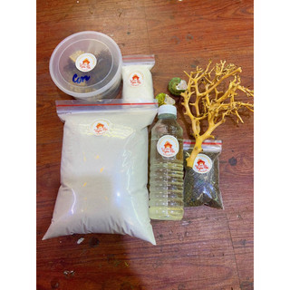 Combo nuôi omh full set chăm sóc như hình kèm ly đựng 5 omh - có hỏa tốc