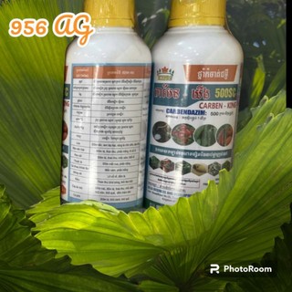 💎 t h u ố c trừ nấm carbenzim 500 fl💖 nhập cambodia 💖💖💖💖💖💖💖💖💖