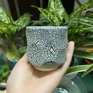 Chậu sứ rạn - mẫu lõm, mắt na / Chậu sứ lõm rạn, chậu sứ mắt na - chậu mini trồng sen đá, xương rồng
