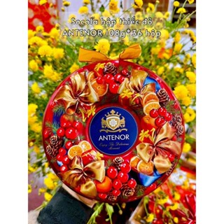   Bánh tết 2025  Bánh socola hộp thiếc nơ tron ANTONER 108G 