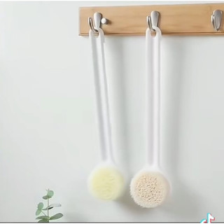 Cây cọ lưng tắm