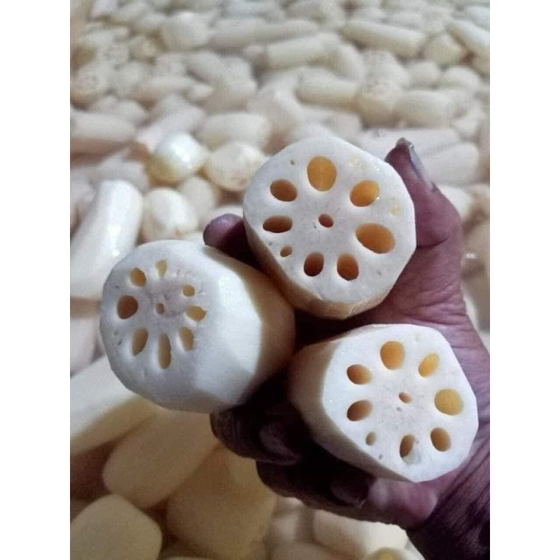 củ sen tươi 1kg ❤️GIÁ SỈ❤️thơm ngon bổ dưỡng tốt súc khoẻ