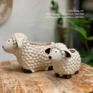 Chậu gốm trồng cây cừu Tròn Tròn Saigon