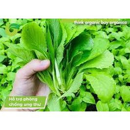 Hạt giống cải bẹ xanh mỡ; hạt giống cải canh tỷ lệ mọc 99%