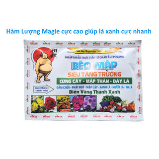 Phân Bón Lá XANH THẦN TỐC, Biến Vàng Thành Xanh (gói 50g)