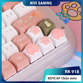  Bộ 4 Keycap Chân mèo AKKO sử dụng cho mọi loại Bàn phím cơ - Hàng chính hãng - Giao nhanh 2h 