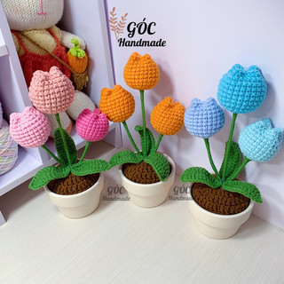 Chậu hoa tulip 3 bông