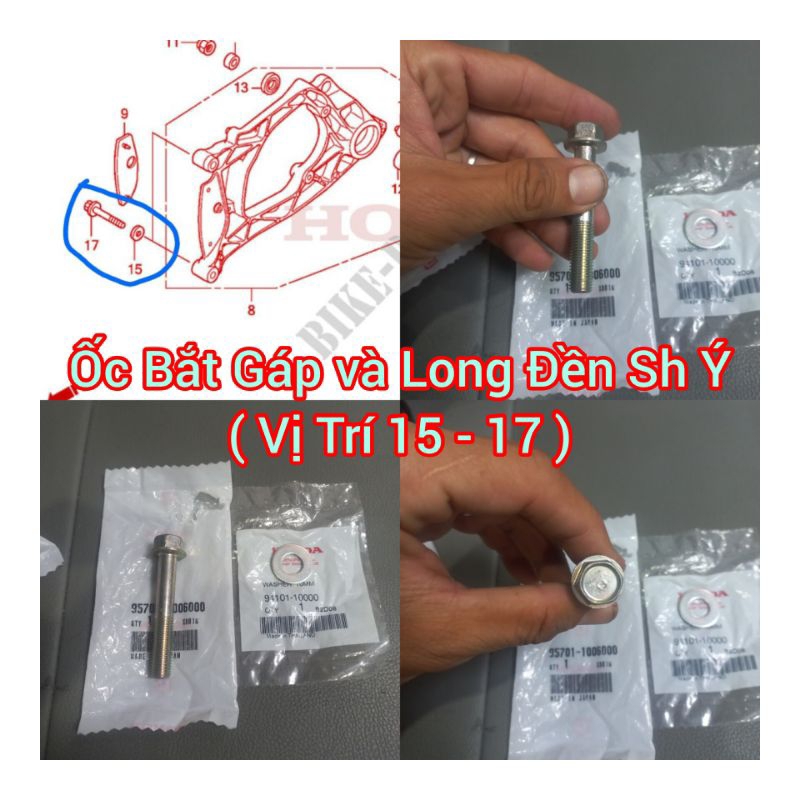 ỐC BĂT GÁP SH Ý