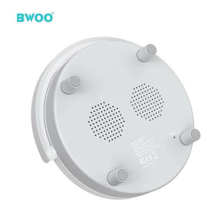 Loa Bluetooth BWOO