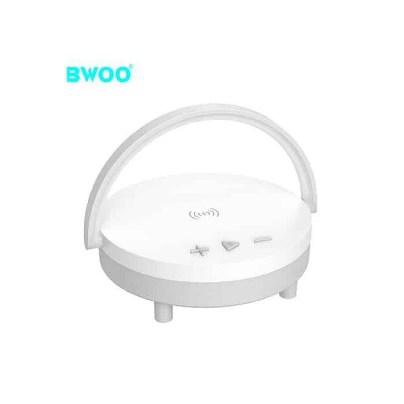 Loa Bluetooth BWOO