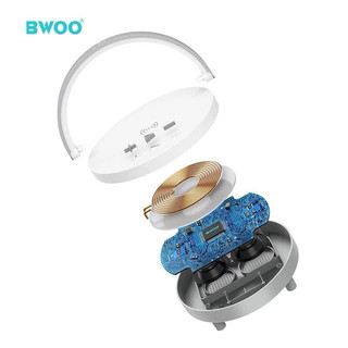 Loa Bluetooth BWOO
