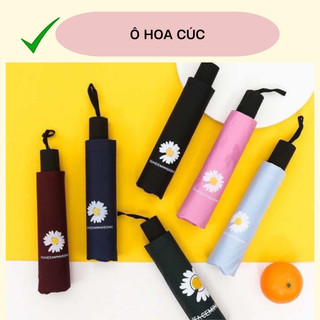 Ô DÙ HOA CÚC HỌA MI 4 LỚP CHỐNG TIA UV + CHỐNG NẮNG