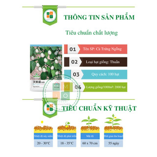 Hạt giống cà pháo trắng (cà trứng ngỗng) giòn ngọt