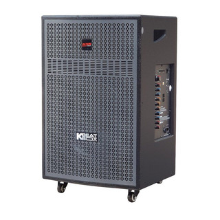 Loa karaoke di động acnos cb405gd/cb405gr