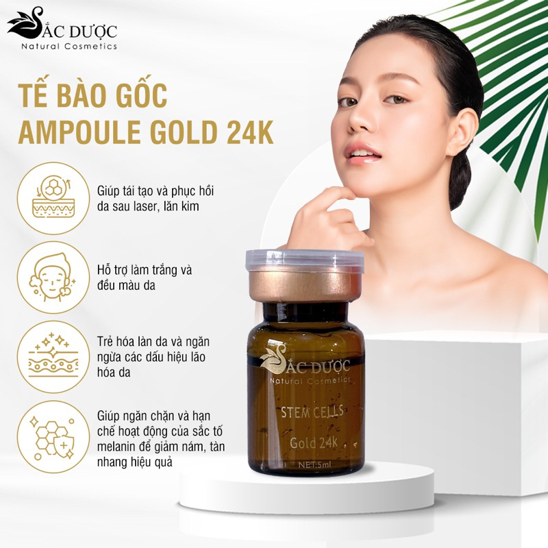 Tế Bào Gốc