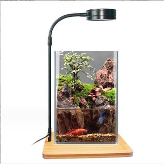 Đèn và đế gỗ chuyên dụng led WRGB cho bể cá, bể bán cạn, bể thủy sinh