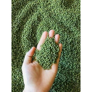 Đỗ xanh đậu nguyên hạt, loại hạt nhỏ túi 1kg