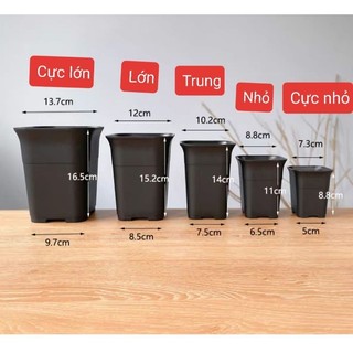 Chậu nhựa vuông đen cứng đáy cao trồng xương rồng sen đá haworthia