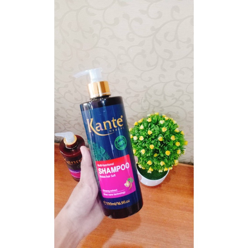 Dầu Gội Xả Phục Hồi Chăm Sóc Tóc  Oganic Kante cặp 500ml