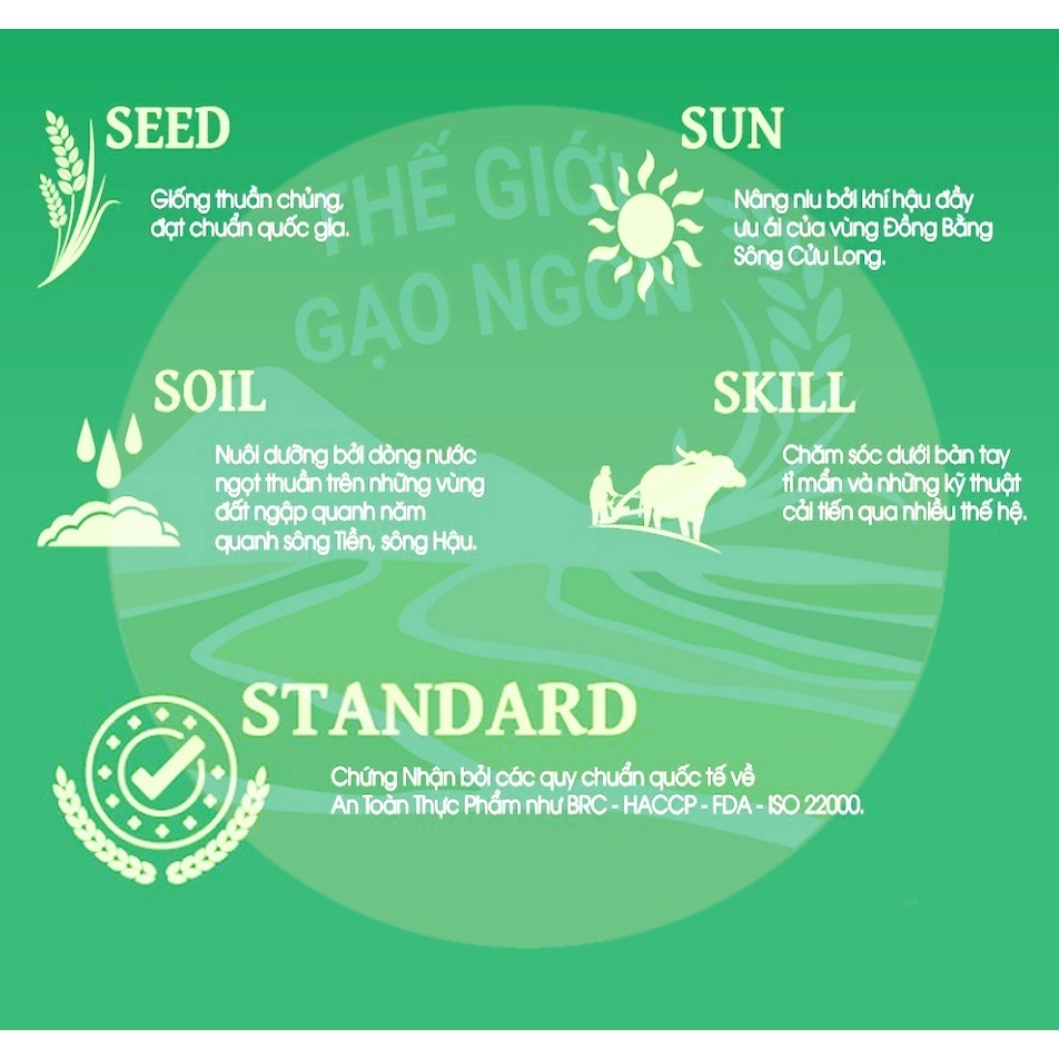 Gạo Lài Nhật VJA - Japonica Túi 10kg thơm ngon thượng hạng | BigBuy360 - bigbuy360.vn