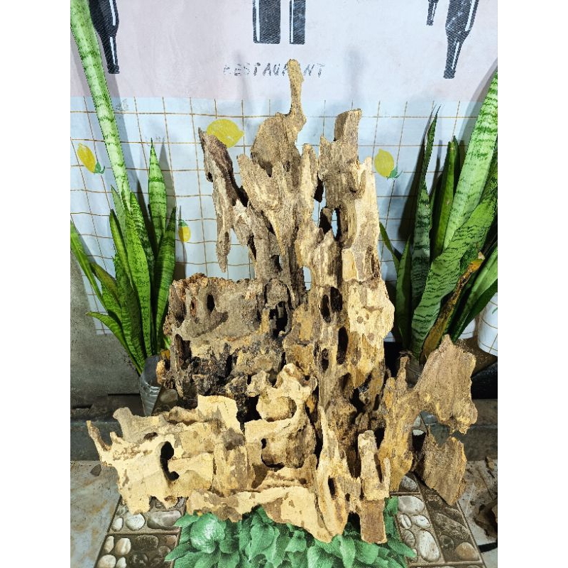 (1kg) Lũa ghép lan (dạng non bộ), bỏ bể cá, tạo layout, lũa thủy sinh