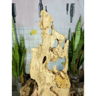 (1kg) Lũa ghép lan (dạng non bộ), bỏ bể cá, tạo layout, lũa thủy sinh