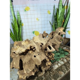 (1kg) Lũa ghép lan (dạng non bộ), bỏ bể cá, tạo layout, lũa thủy sinh