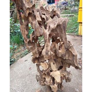 (1kg) Lũa ghép lan (dạng non bộ), bỏ bể cá, tạo layout, lũa thủy sinh
