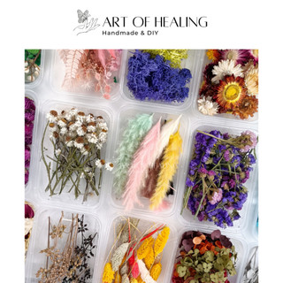   AOH - Art of Healing  Hộp hoa khô mix cùng loại  nhỏ  - trang trí nến resin sổ tay decor - Handmade & DIY 