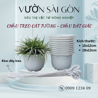 Combo 5 Chậu treo cát tường nhỏ (15cm X chiều cao 12cm) - Green City