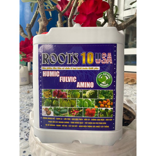 Phân bón root 10 usa công thức mới