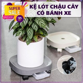 Đế Kê Chậu Cây Có 4 Bánh Xe Di Chuyển đế lót chậu cây có khóa và khay hứng nước  tiện dụng