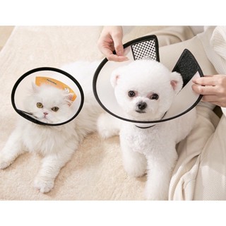 Vòng chống liếm, loa chống liếm  cho chó mèo