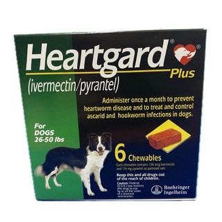 Sổ lãi HEARTGARD® PLUS size cho chó