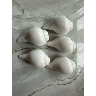 Kèn ốc pháp loa bé 10x6cm