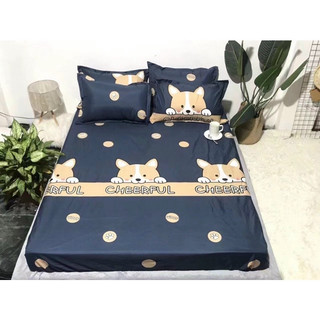 Ga chống thấm cotton cao cấp