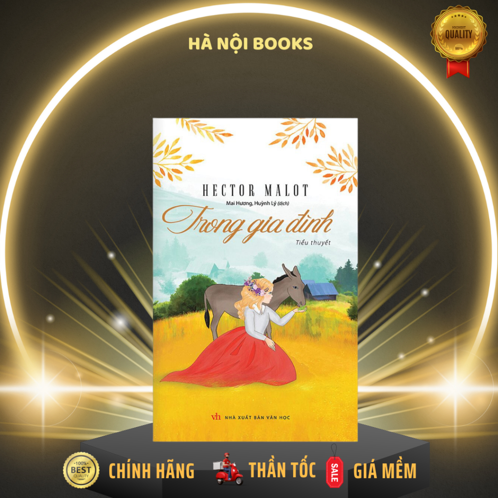 Sách - Trong Gia Đình - Hector Malot - Trí Việt