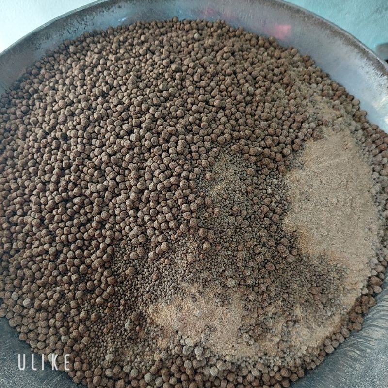 [BÀI CÁM PHI-CHÉP CÂU THIÊN NHIÊN] BÀI CÁM PHI CHÉP XAY TRỘN SẴN 3.2 kg
