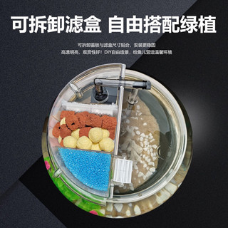 Bể cá mini hình tròn (có sẵn đèn và bộ lọc)