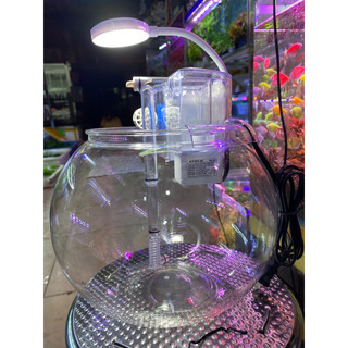 Bể cá mini hình tròn (có sẵn đèn và bộ lọc)