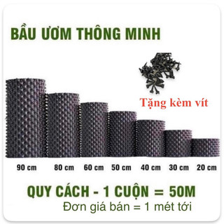 Bầu nhựa ươm rễ cây thông minh cao 20cm-90cm,loại dày, nhựa PP dẻo siêu bền
