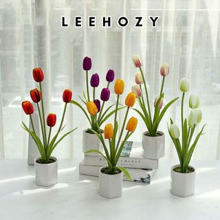 Cây Giả Kèm Chậu Để Bàn, Hoa Tulip Giả, Hoa Cảnh, Cây Decor, Cây Trang Trí Nhà Cửa