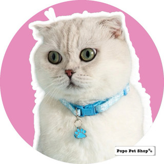 Vòng cổ dễ thương cute cho chó mèo thú cưng