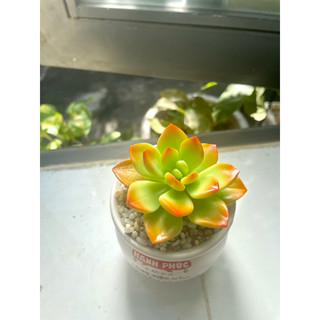 Sen đá bằng đất sét chậu mini đường kính 7cm