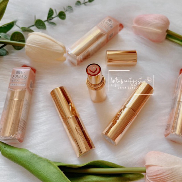 Son MELTY LUMINOUS ROUGE CANMAKE NHẬT [04],[05],[06], [T04]