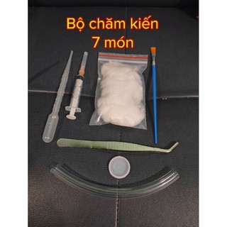 Bộ chăm kiến 7 món, tank kiến - Hoài Nam Pet