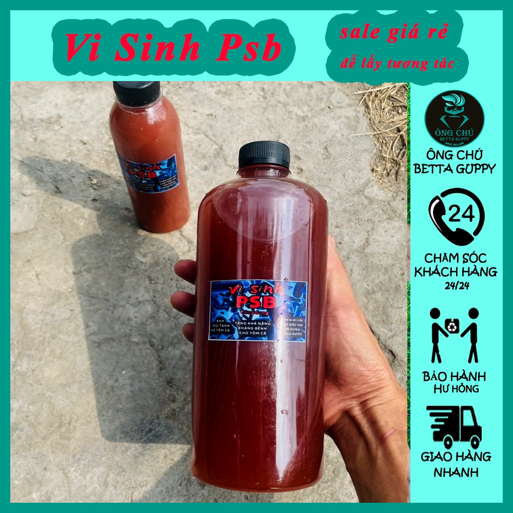 Vi sinh Psb xử lý nước hồ cá